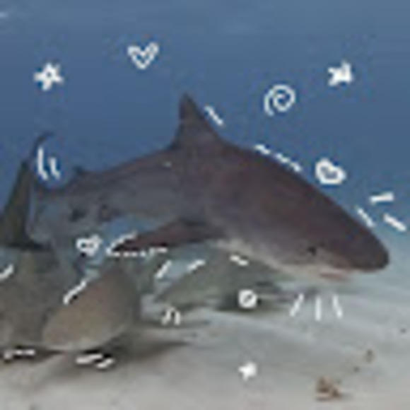 yoshiis_island